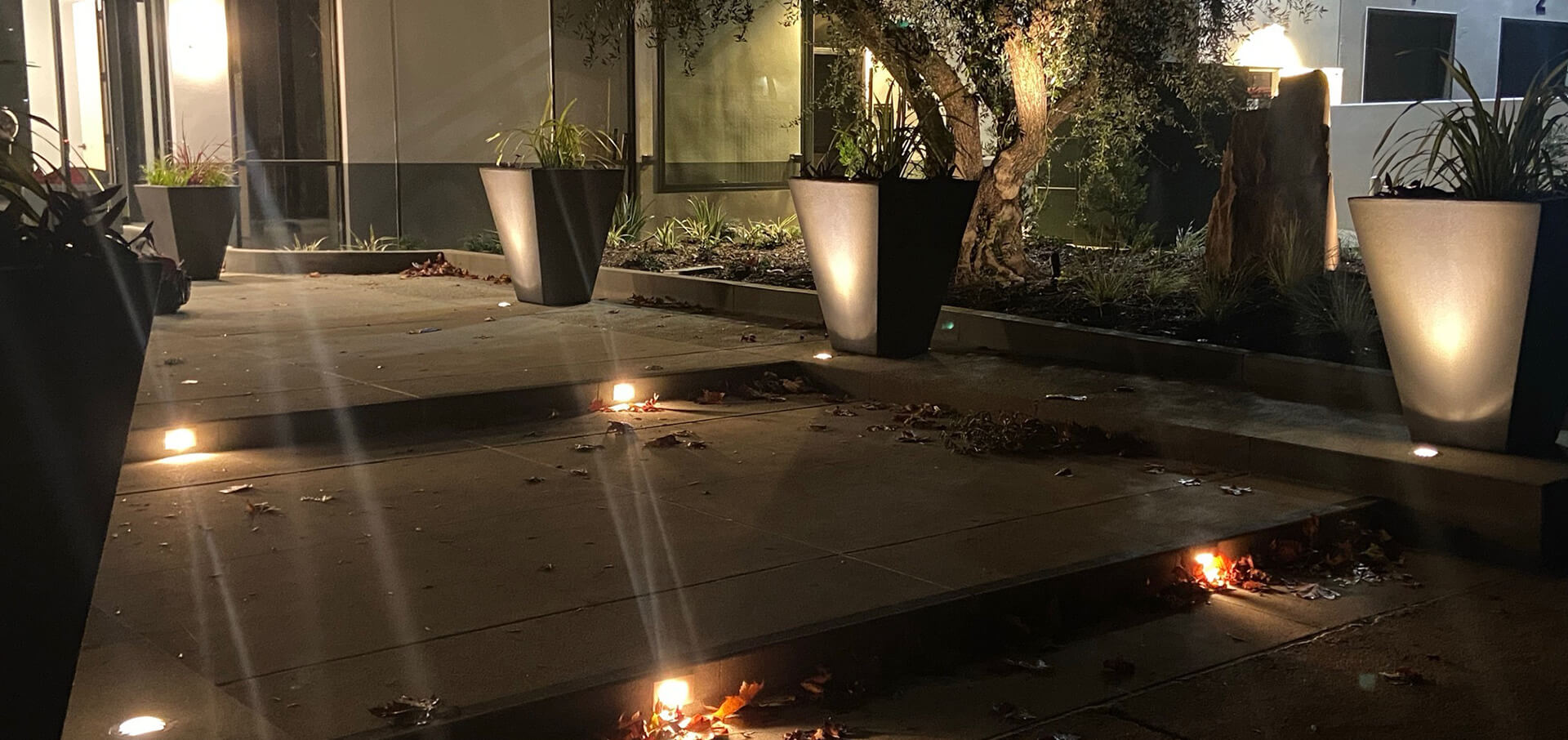 Landscape Lighting